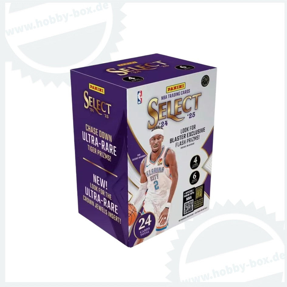 24-25 Panini Select Basketball Blaster Box